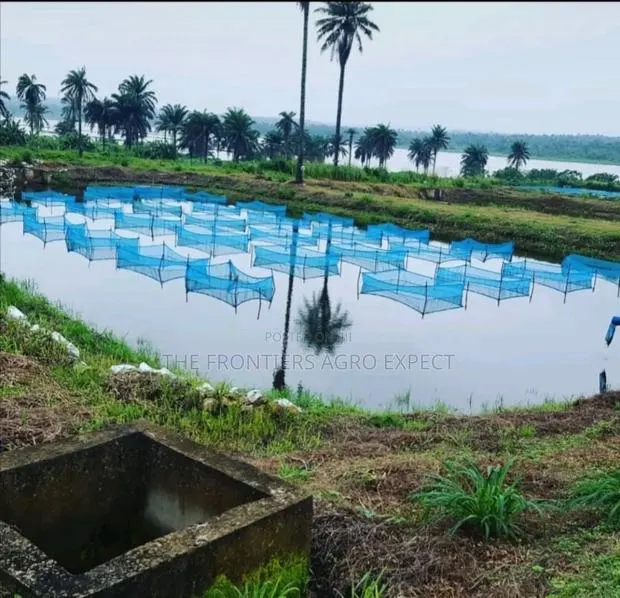 All Kinds of Fish Pond Construction · Photo 1