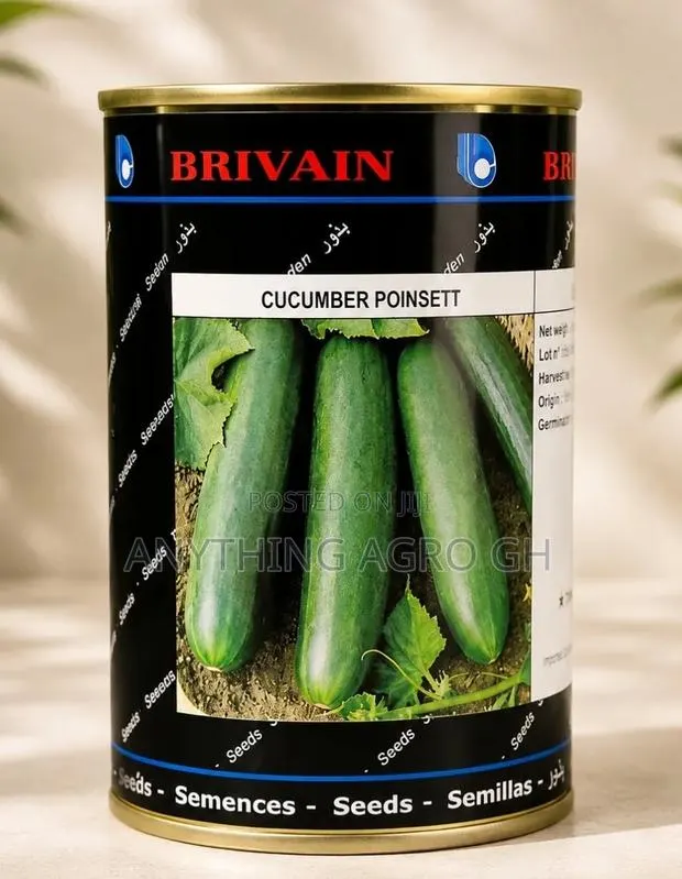 Cucumber Pointsett · Photo 1