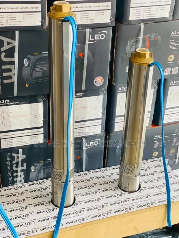 100w_1.0hp Leo Borehole Pump · Photo 1