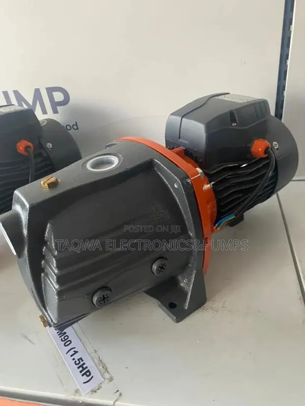 Desired Leo Pump, 1.5hp Ajm90 Cast Water Pump · Photo 1