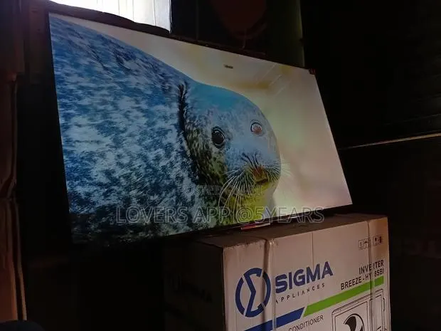 Selling Fast – TCL 65” Smart Tv Priced to Go! · Photo 1
