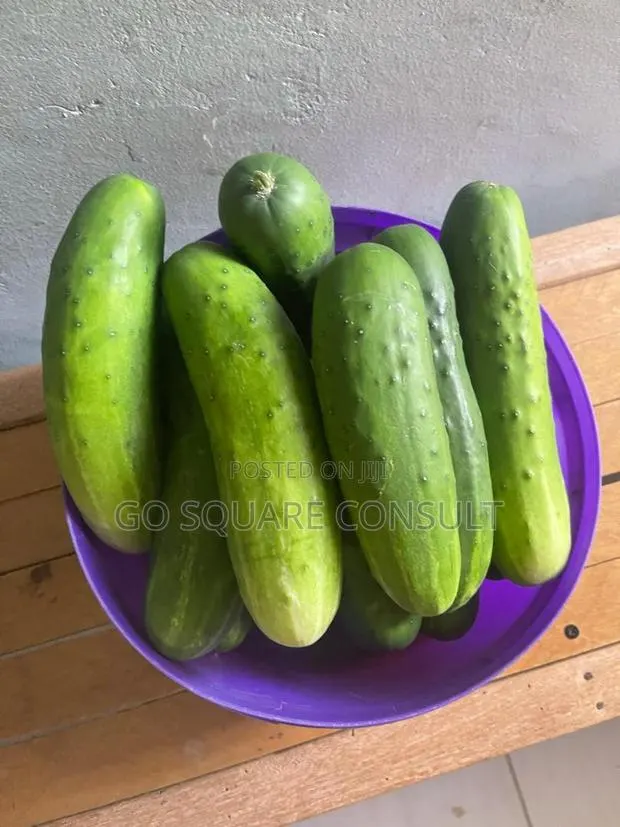 Cucumbers for Sale · Photo 1