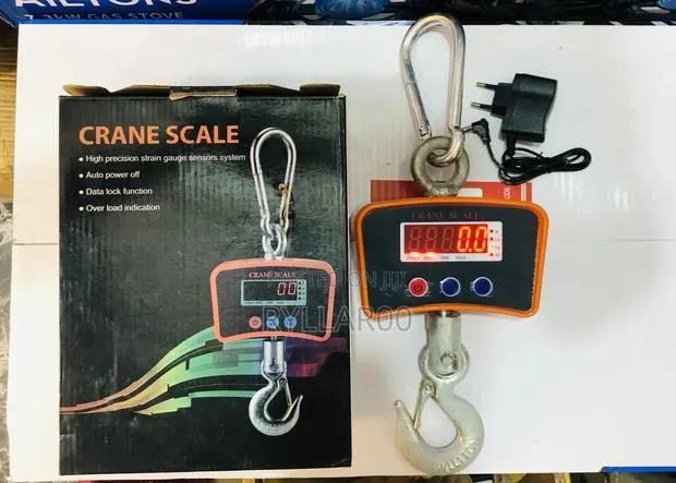 1000kg Commercial Crane Scale · Photo 1