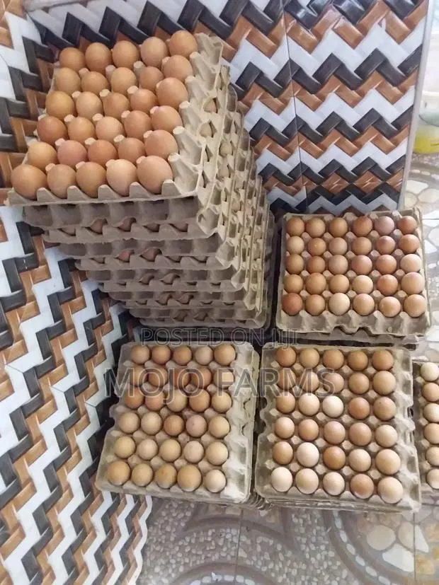 Large Eggs · Photo 1