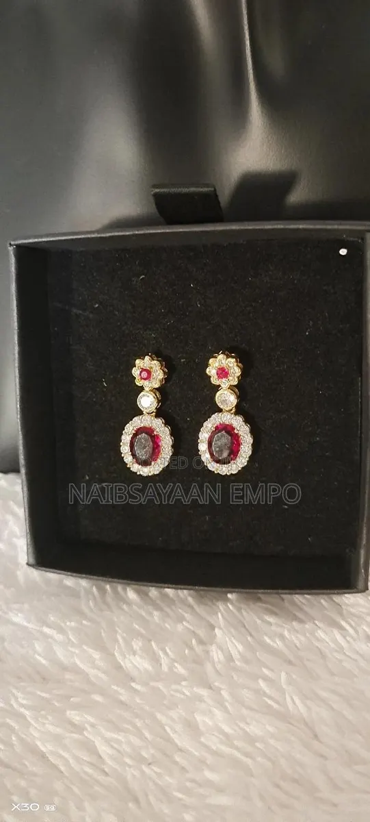 Women Exquisite Earrings · Photo 1