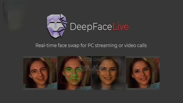 Video Call Software Installation · Photo 1