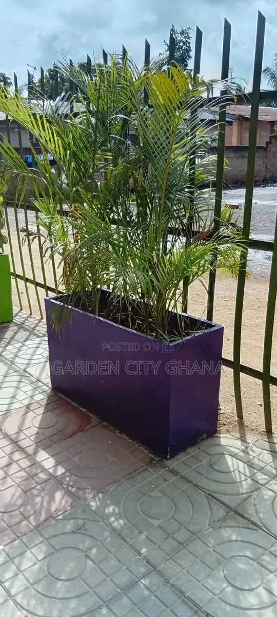 Flower Pot · Photo 1