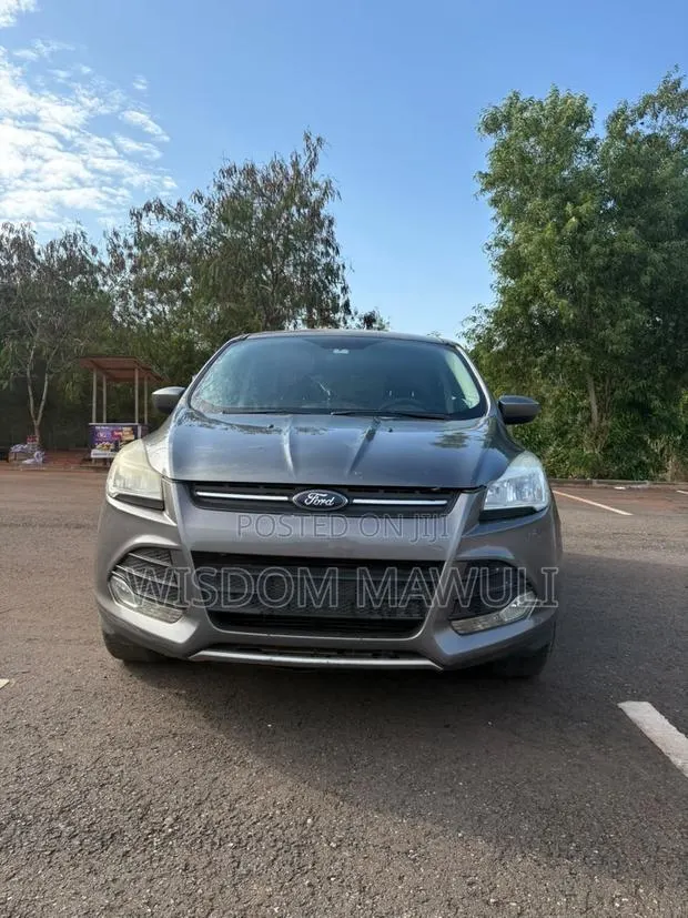 Ford Escape 2014 Silver · Photo 1