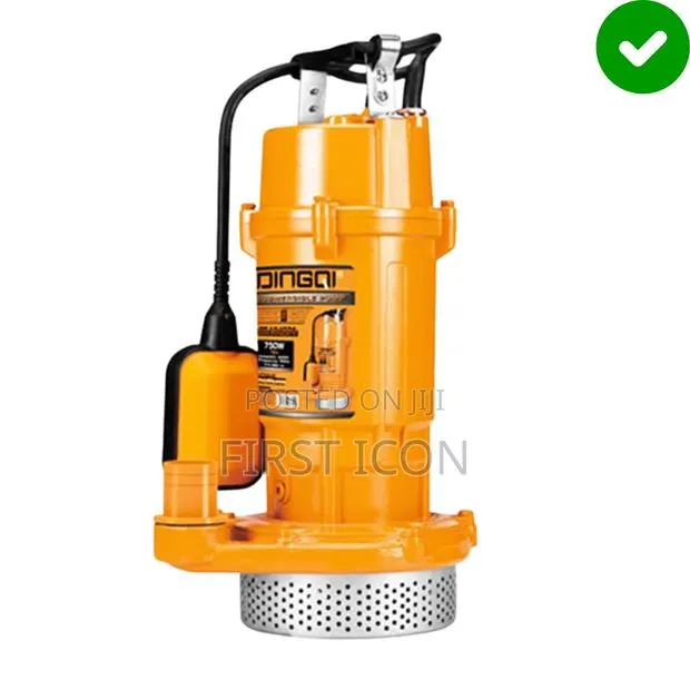 2-Inch, 1hp Stainless Steel Submersible Clean Water Pump - Dingqi · Photo 1