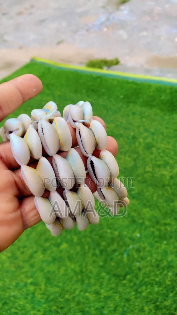 Original Cowries · Photo 1