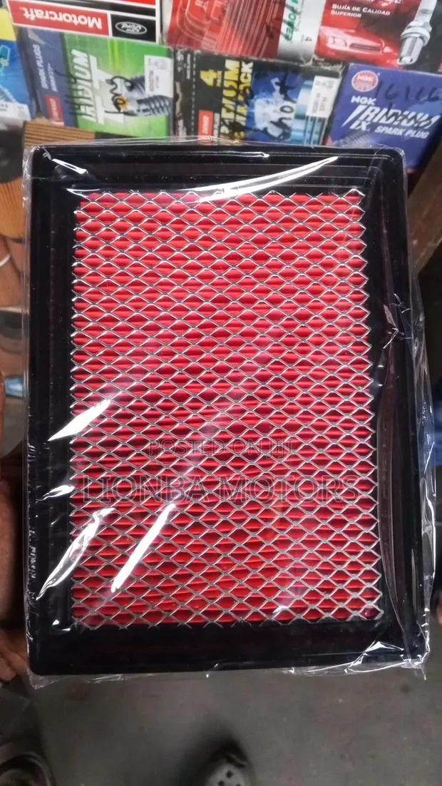 Nissan Air Cleaner Element · Photo 1