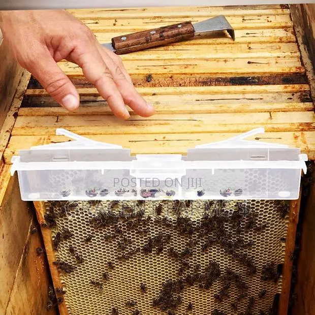 Small Hive Beetle Trap · Photo 1