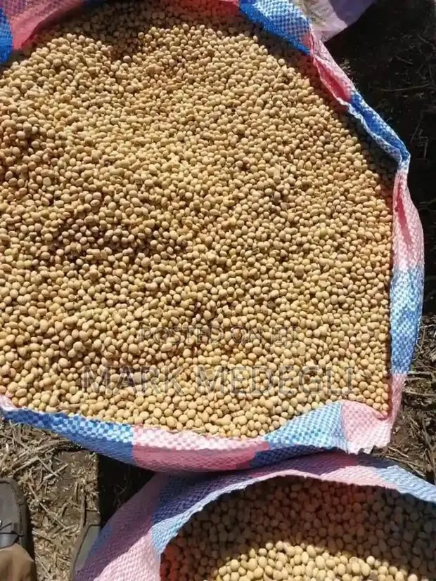 Soya Beans · Photo 1
