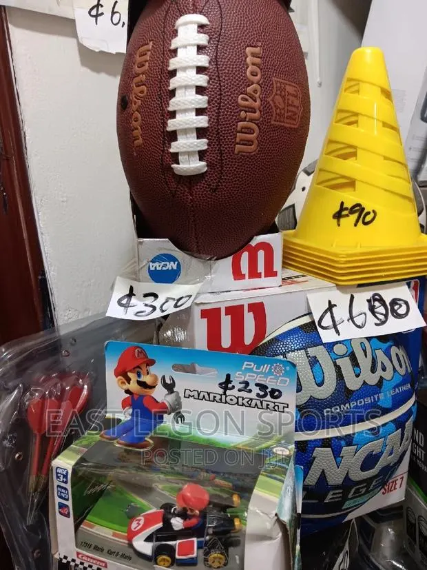 NFL Wilson Football Mini Junior Briwb · Photo 1