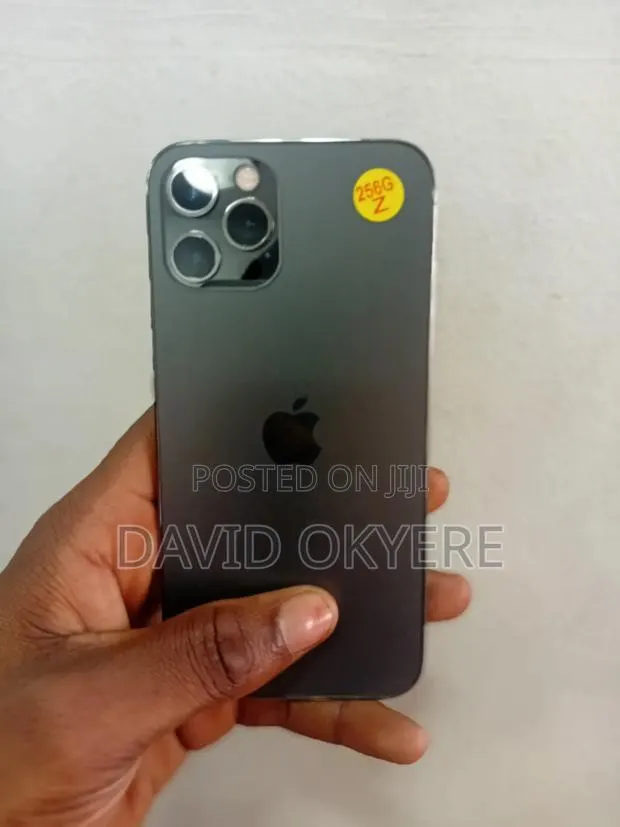 Apple iPhone 13 Pro 256 GB Gray · Photo 1