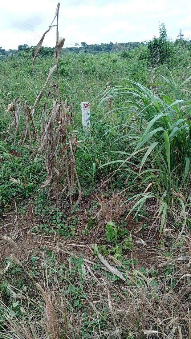 Land for Sale · Photo 1