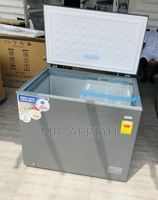 Super Durable Nasco Nas300fl 1 Door Electric Chest Freezer(238L)Gray · Photo 1