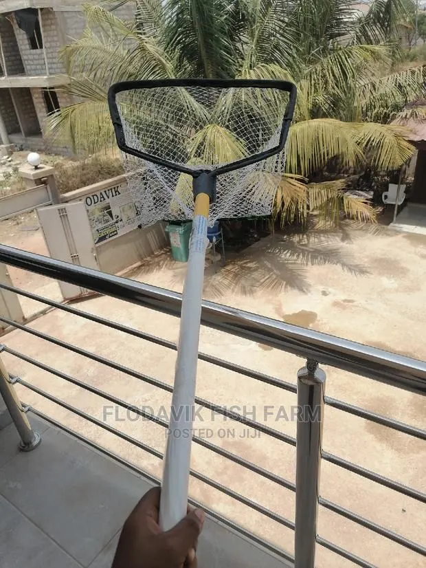 Extra Large Scooping Net