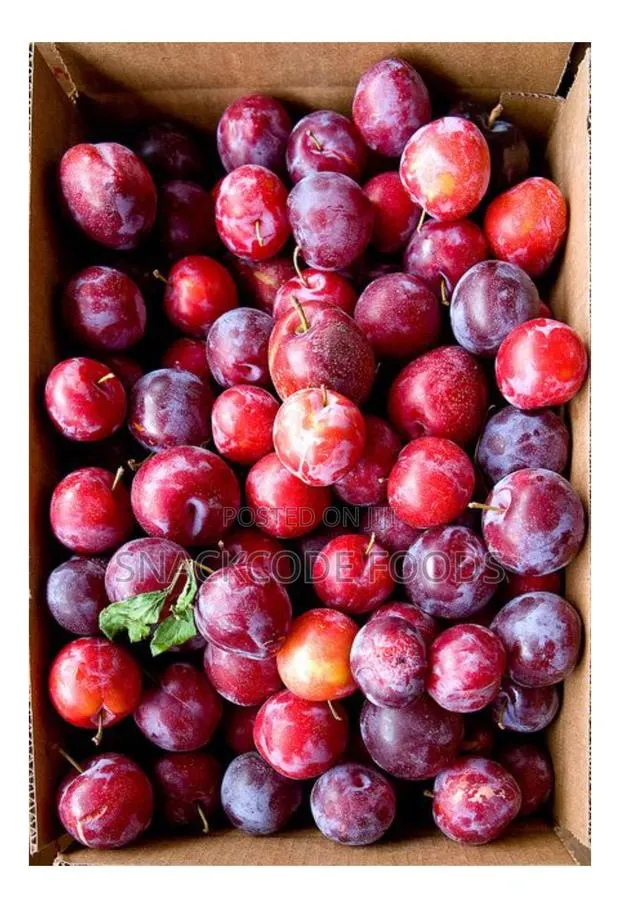 Fresh Plum · Photo 1