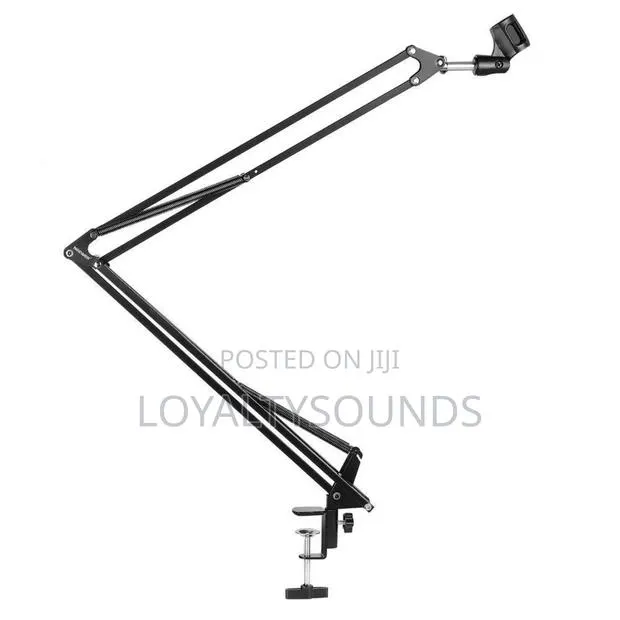 Boom Professional Recording Microphone Stand · Photo 1