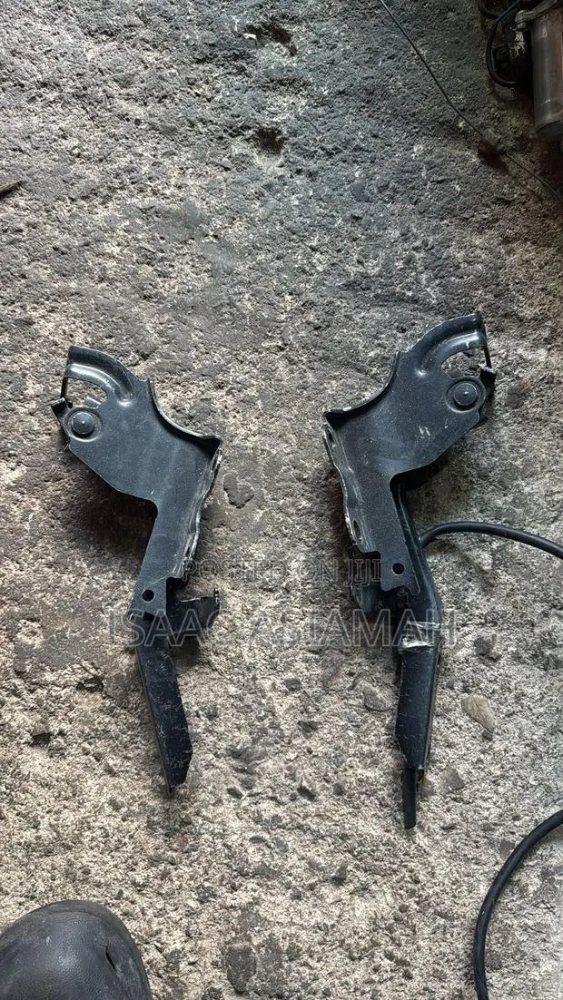 Lexus RX350 2016,2017,2018,2019,2020,2021,2022 Bonnet Hinge / Inches · Photo 1