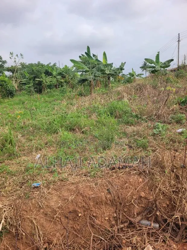Land for Sale at Heman Near Main Road · Photo 6