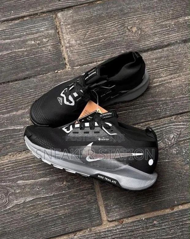 Nike Pegasus Trail 5 Available · Photo 1