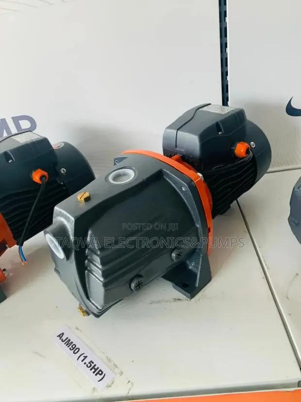 Electric Leo 1.5hp Cast Water Pump · Photo 1