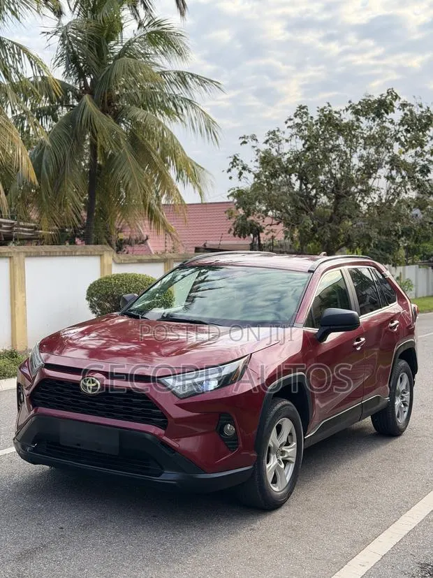 Toyota RAV4 LE AWD 2019 Red · Photo 1