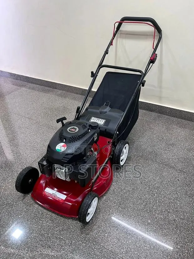 Ecoolmax Lawn Mower 4.5hp Petrol · Photo 1