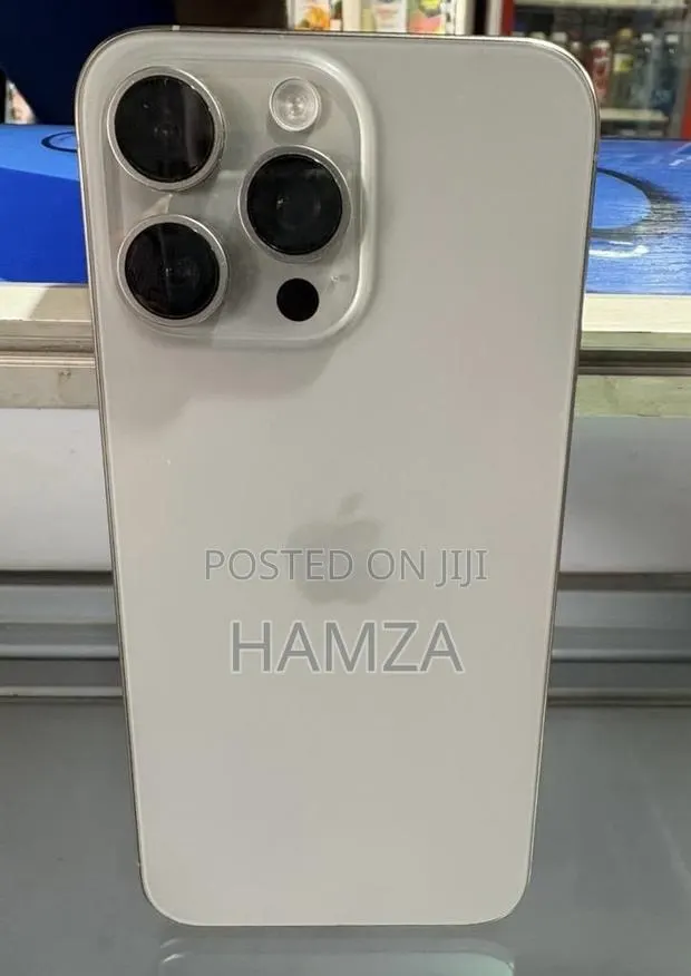Apple iPhone 15 Pro Max 256 GB Silver · Photo 1