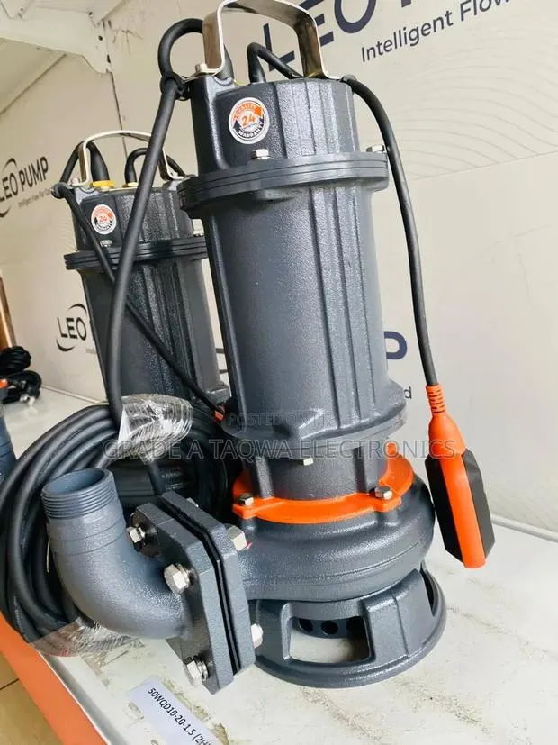 Leo 2-Horsepower Sewage Water Pump · Photo 1