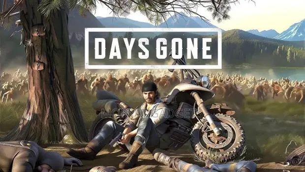 Days Gone Installation Services [Windows] · Photo 1