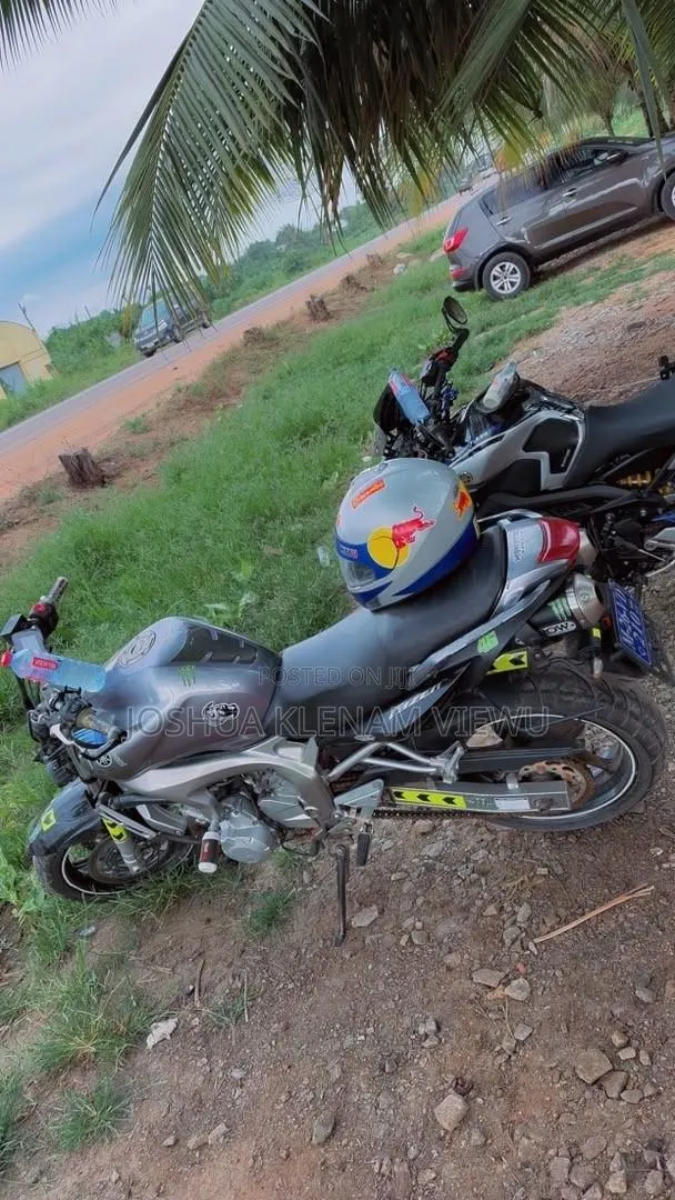Yamaha FZ 2007 Gray · Photo 1