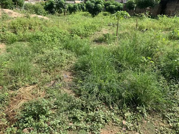 Acres and Plots of Land Located Between Aburi and Adawso · Photo 1
