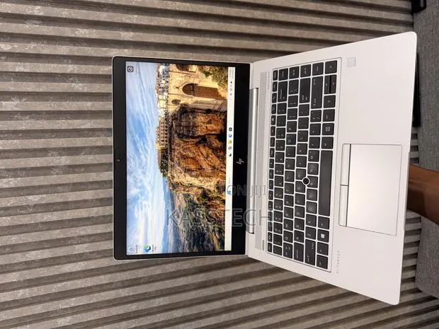 Laptop HP EliteBook 745 G6 8GB AMD Ryzen 5 SSD 256GB · Photo 1