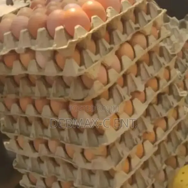 Diamond Eggs · Photo 1