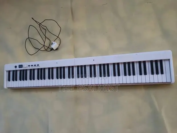 BX 20 Fordable 88keys Digital Piano · Photo 1
