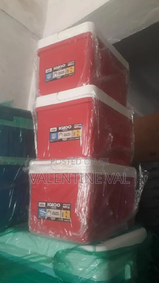 Ice Chest for Your Beach/Pool Outing and Occasion · Photo 1
