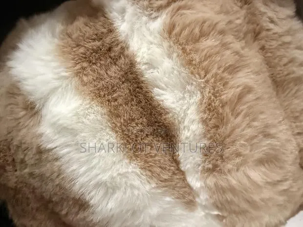 200x300 Light Yellow Fluffy Carpet · Photo 1