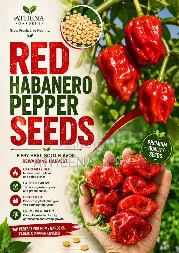 Hot Habanero Pepper Seeds (50 Grams) · Photo 1