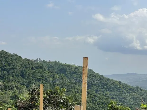 Land for Sale at Abrui Around Adonteng Secondary SCH Area · Photo 1