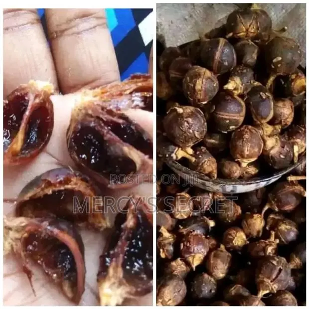 Gorontula Seed · Photo 1