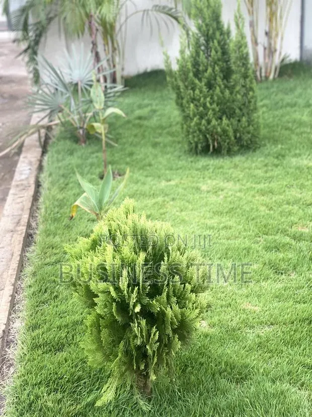 Garden and Landscaping · Photo 3