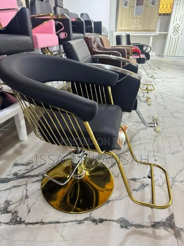 Salon Chair · Photo 1