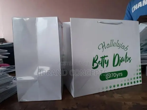 Laminated and Customised Paper Bag · Photo 1