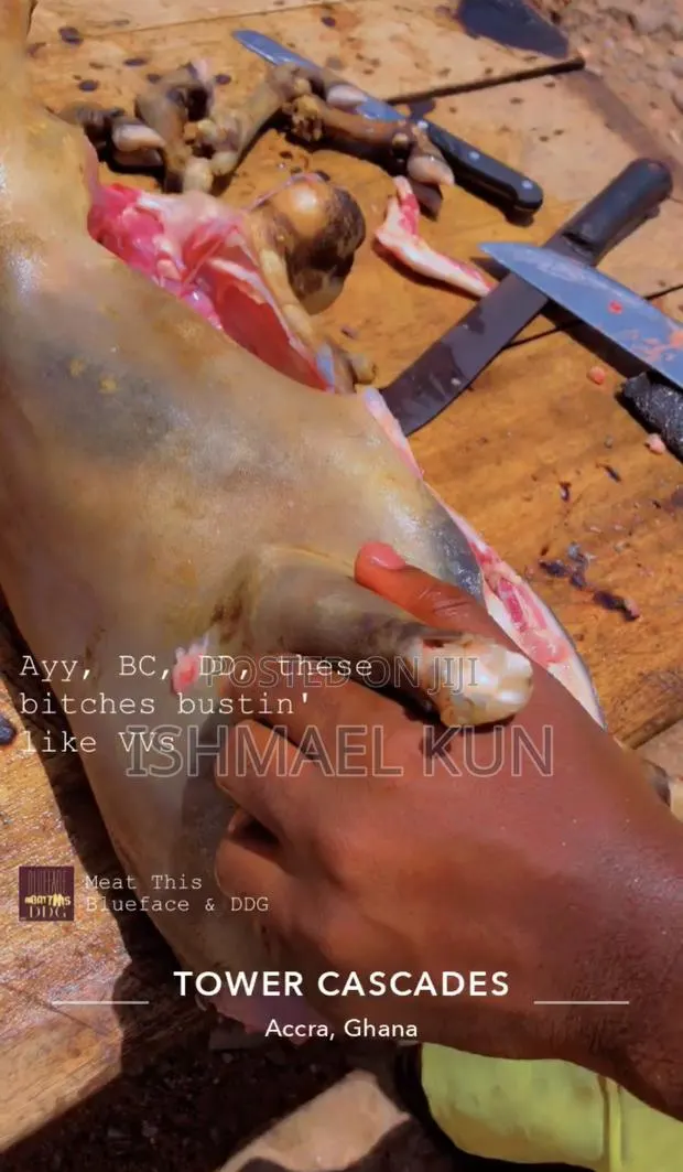 Full Male Goat Meat Freezed For Sale · Photo 1