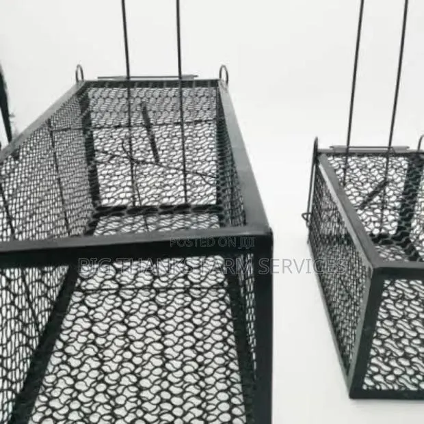 Big Rodent Traps, Rats,Cats Etc · Photo 1