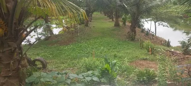 Land for Sales, Rentals and Fish Ponds · Photo 1