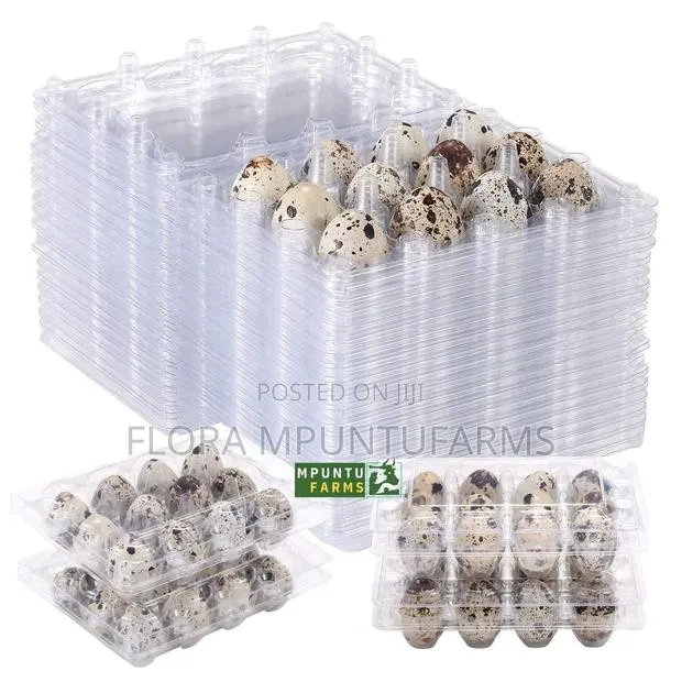 Quail Egg Crates · Photo 1